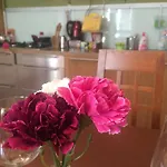 Hotel Eurostars Danube 4*