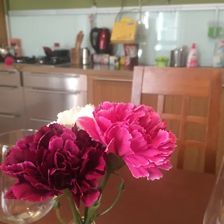 Hotell Eurostars Danube 4*