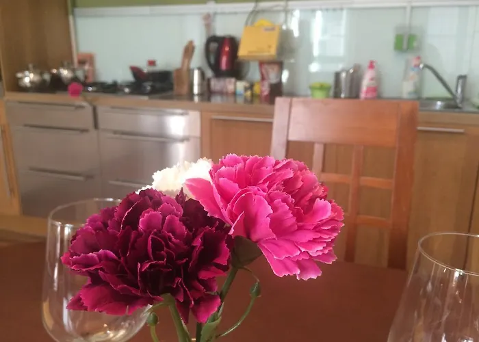 Hotel Eurostars Danube 4*